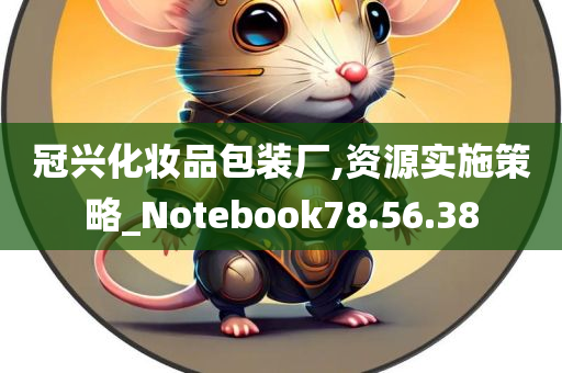 冠兴化妆品包装厂,资源实施策略_Notebook78.56.38