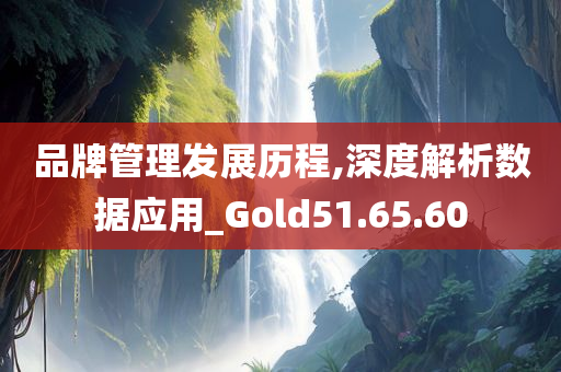 品牌管理发展历程,深度解析数据应用_Gold51.65.60