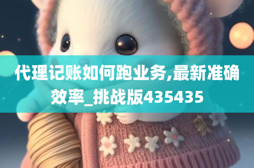 代理记账如何跑业务,最新准确效率_挑战版435435