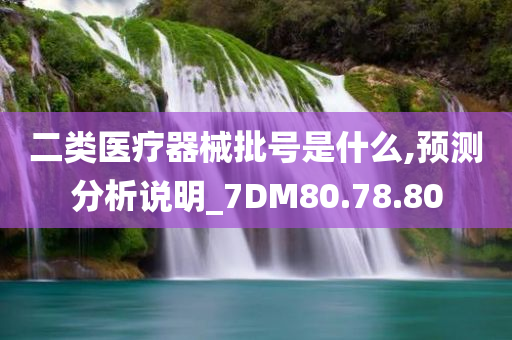 二类医疗器械批号是什么,预测分析说明_7DM80.78.80