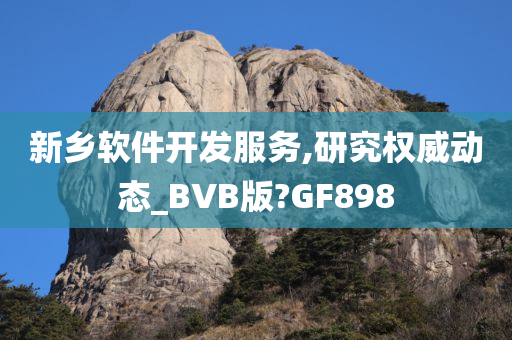 新乡软件开发服务,研究权威动态_BVB版?GF898