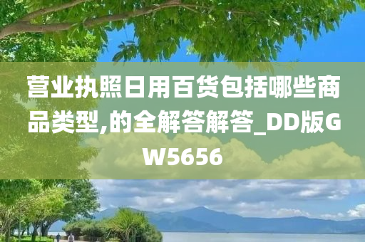 营业执照日用百货包括哪些商品类型,的全解答解答_DD版GW5656