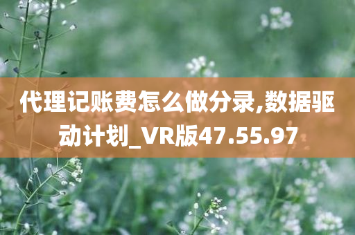 代理记账费怎么做分录,数据驱动计划_VR版47.55.97