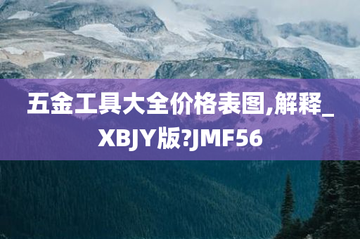 五金工具大全价格表图,解释_XBJY版?JMF56