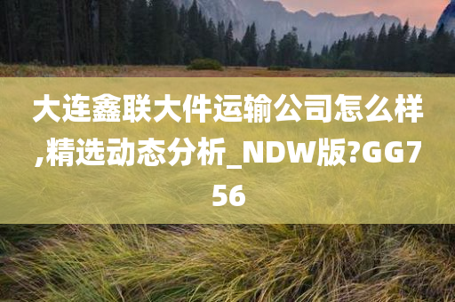 大连鑫联大件运输公司怎么样,精选动态分析_NDW版?GG756