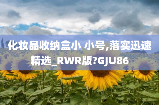 化妆品收纳盒小 小号,落实迅速精选_RWR版?GJU86