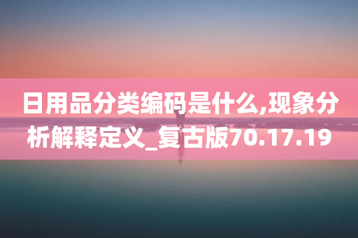 日用品分类编码是什么,现象分析解释定义_复古版70.17.19