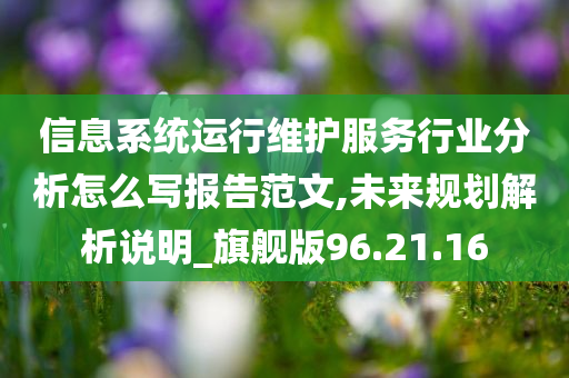 信息系统运行维护服务行业分析怎么写报告范文,未来规划解析说明_旗舰版96.21.16