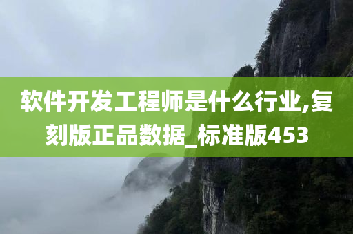 软件开发工程师是什么行业,复刻版正品数据_标准版453