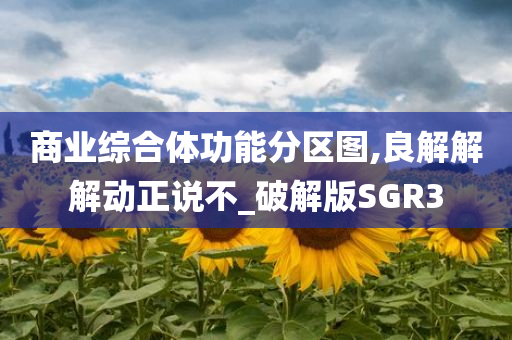 商业综合体功能分区图,良解解解动正说不_破解版SGR3