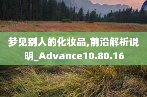 梦见别人的化妆品,前沿解析说明_Advance10.80.16