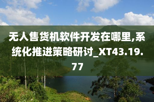 无人售货机软件开发在哪里,系统化推进策略研讨_XT43.19.77