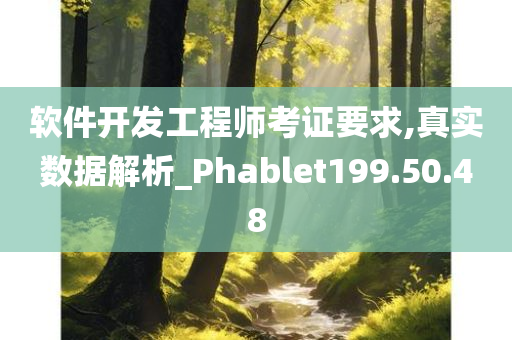 软件开发工程师考证要求,真实数据解析_Phablet199.50.48