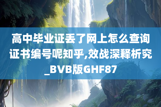 高中毕业证丢了网上怎么查询证书编号呢知乎,效战深释析究_BVB版GHF87