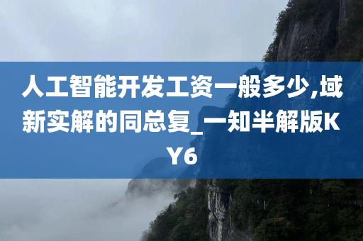 人工智能开发工资一般多少,域新实解的同总复_一知半解版KY6