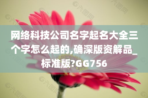 网络科技公司名字起名大全三个字怎么起的,确深版资解品_标准版?GG756