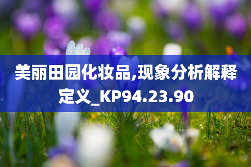 美丽田园化妆品,现象分析解释定义_KP94.23.90