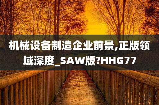 机械设备制造企业前景,正版领域深度_SAW版?HHG77