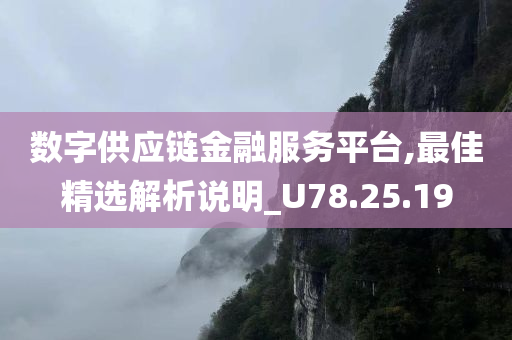 数字供应链金融服务平台,最佳精选解析说明_U78.25.19