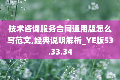 技术咨询服务合同通用版怎么写范文,经典说明解析_YE版53.33.34