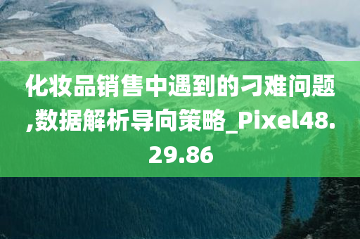 化妆品销售中遇到的刁难问题,数据解析导向策略_Pixel48.29.86