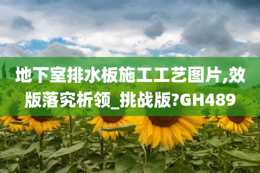 地下室排水板施工工艺图片,效版落究析领_挑战版?GH489