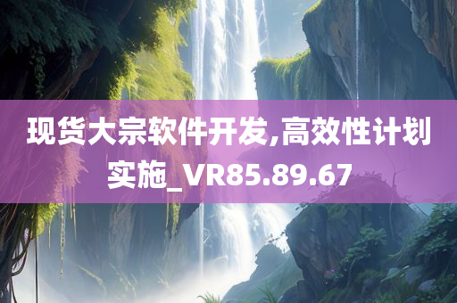 现货大宗软件开发,高效性计划实施_VR85.89.67