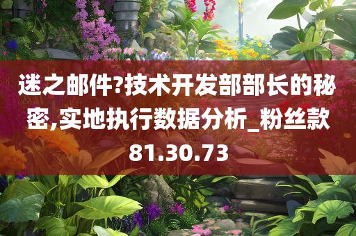 迷之邮件?技术开发部部长的秘密,实地执行数据分析_粉丝款81.30.73