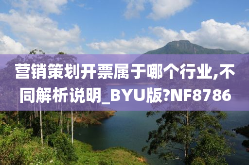 营销策划开票属于哪个行业,不同解析说明_BYU版?NF8786