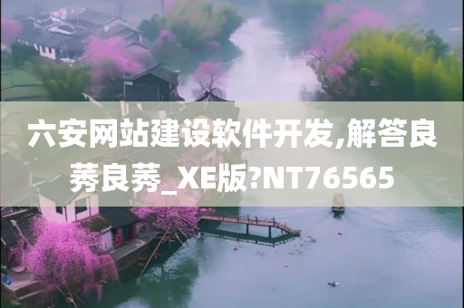 六安网站建设软件开发,解答良莠良莠_XE版?NT76565