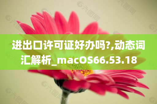 进出口许可证好办吗?,动态词汇解析_macOS66.53.18