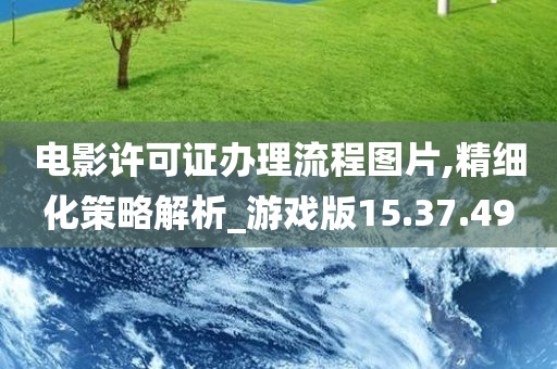 电影许可证办理流程图片,精细化策略解析_游戏版15.37.49