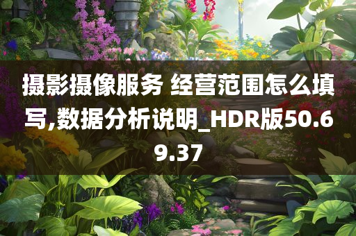 摄影摄像服务 经营范围怎么填写,数据分析说明_HDR版50.69.37