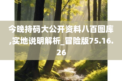 今晚持码大公开资料八百图库,实地说明解析_冒险版75.16.26