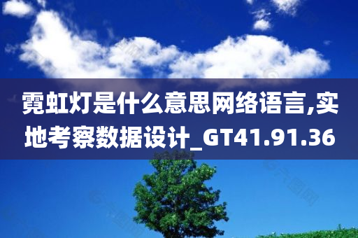 霓虹灯是什么意思网络语言,实地考察数据设计_GT41.91.36