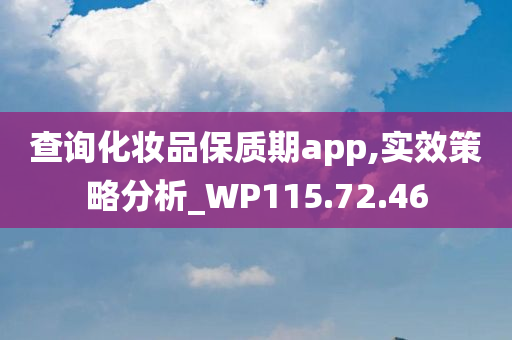 查询化妆品保质期app,实效策略分析_WP115.72.46