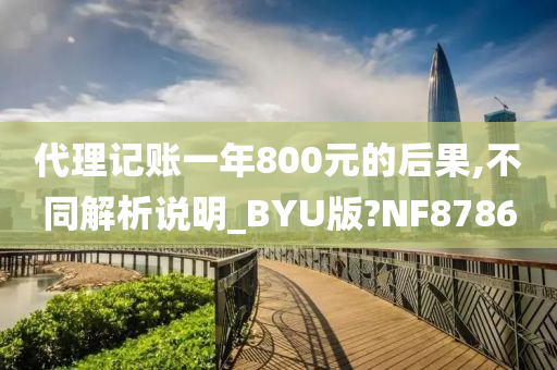 代理记账一年800元的后果,不同解析说明_BYU版?NF8786