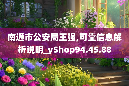 南通市公安局王强,可靠信息解析说明_yShop94.45.88