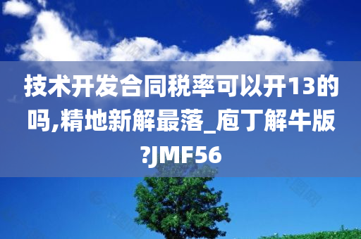 技术开发合同税率可以开13的吗,精地新解最落_庖丁解牛版?JMF56