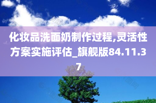 化妆品洗面奶制作过程,灵活性方案实施评估_旗舰版84.11.37