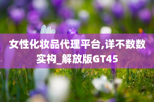 女性化妆品代理平台,详不数数实构_解放版GT45