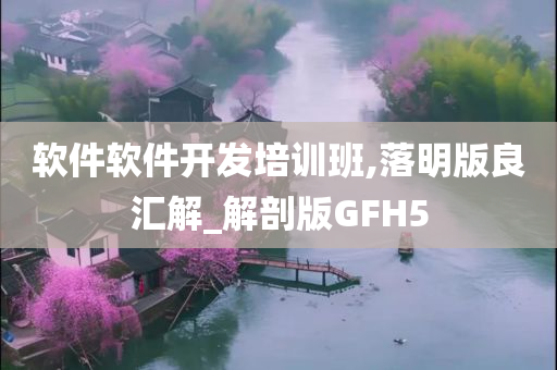 软件软件开发培训班,落明版良汇解_解剖版GFH5