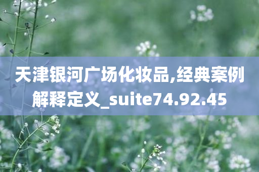 天津银河广场化妆品,经典案例解释定义_suite74.92.45