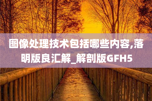 图像处理技术包括哪些内容,落明版良汇解_解剖版GFH5