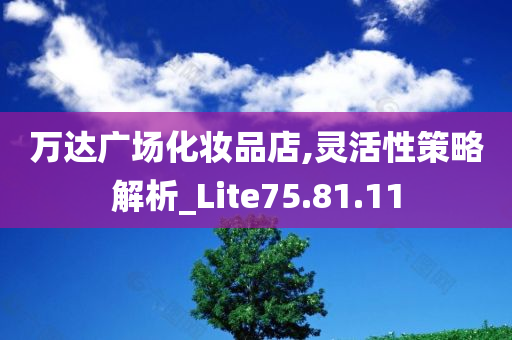 万达广场化妆品店,灵活性策略解析_Lite75.81.11