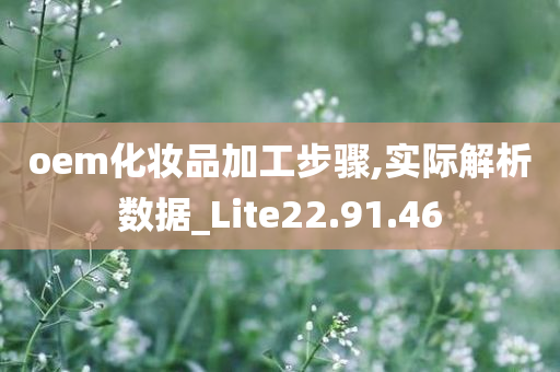 oem化妆品加工步骤,实际解析数据_Lite22.91.46