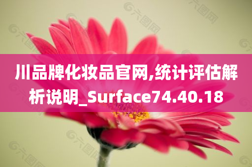 川品牌化妆品官网,统计评估解析说明_Surface74.40.18