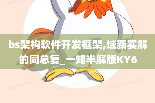 bs架构软件开发框架,域新实解的同总复_一知半解版KY6