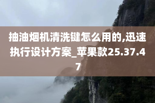 抽油烟机清洗键怎么用的,迅速执行设计方案_苹果款25.37.47