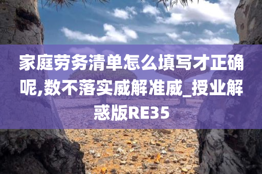 家庭劳务清单怎么填写才正确呢,数不落实威解准威_授业解惑版RE35